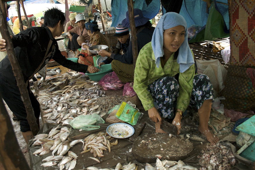 12.jb-cam 31821062008.jpg